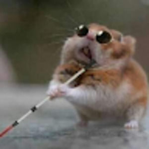 Meet your Posher, Ruth